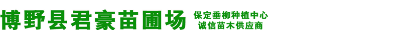 博野县君豪苗园林